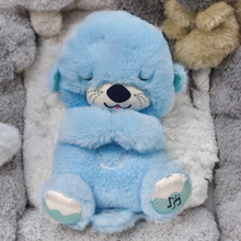 Load image into Gallery viewer, Breathing Otter