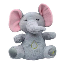 Load image into Gallery viewer, Breathing Otter